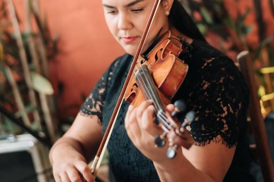 O violino e suas belas melodia