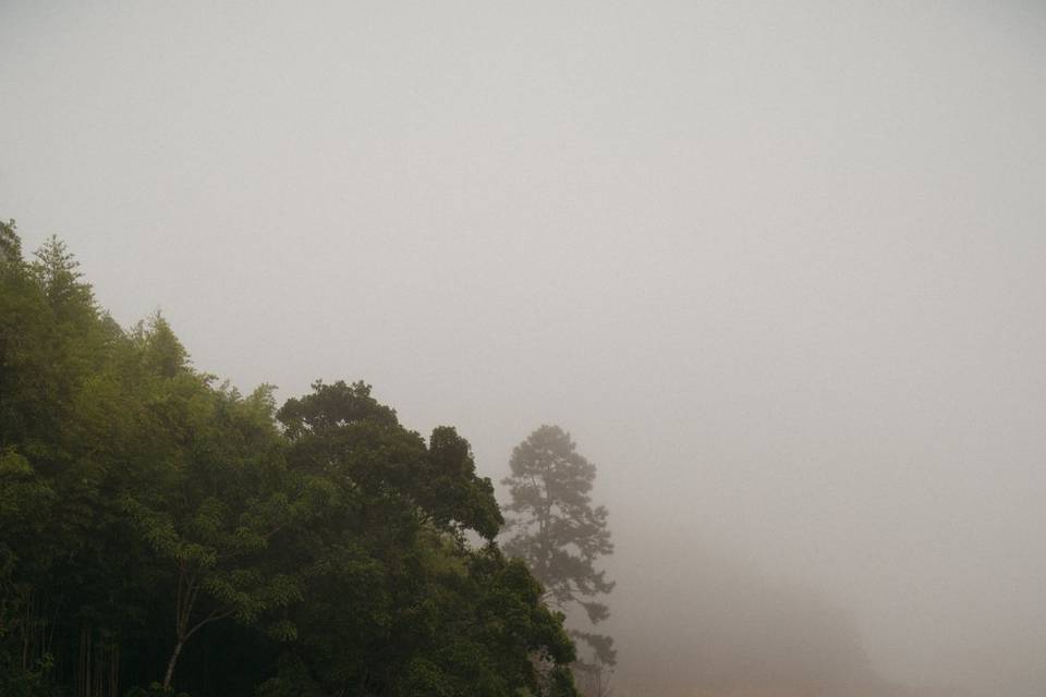 EM MEIO AS NEBLINAS ☁️