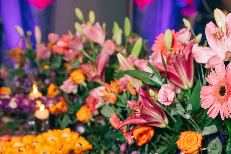 Freyr Eventos