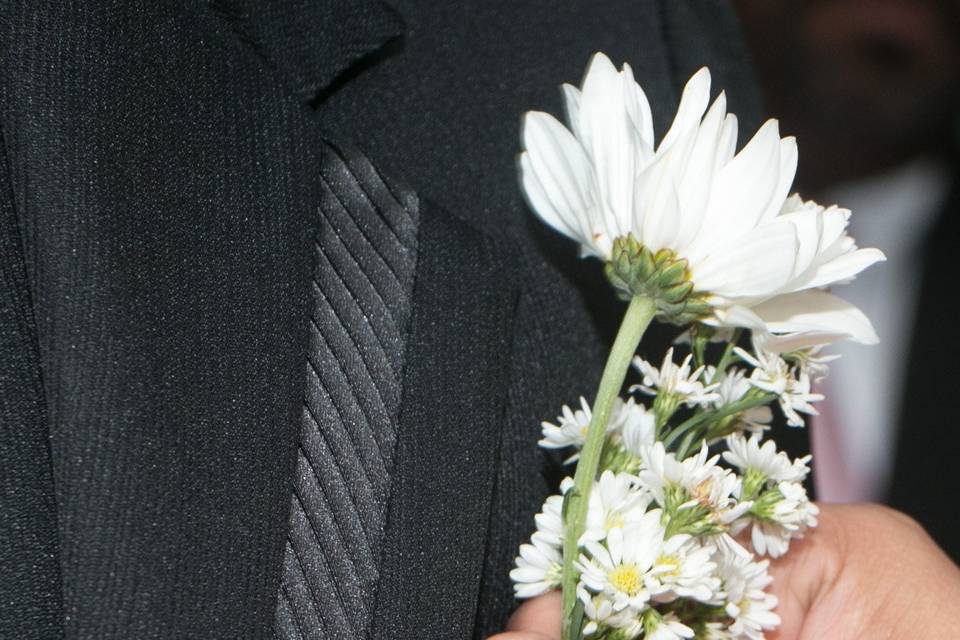 Flor e beleza
