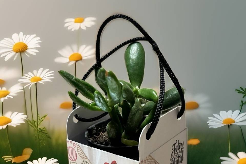 Plantee