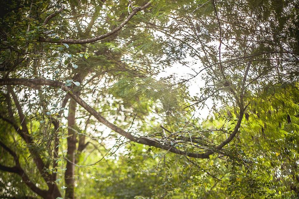 Beto Simões Fotografia