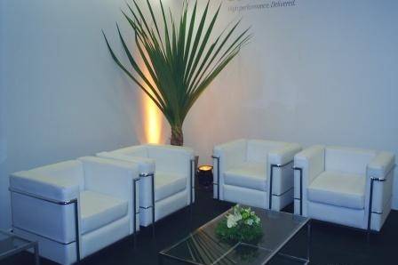 Poltrona e pandanus