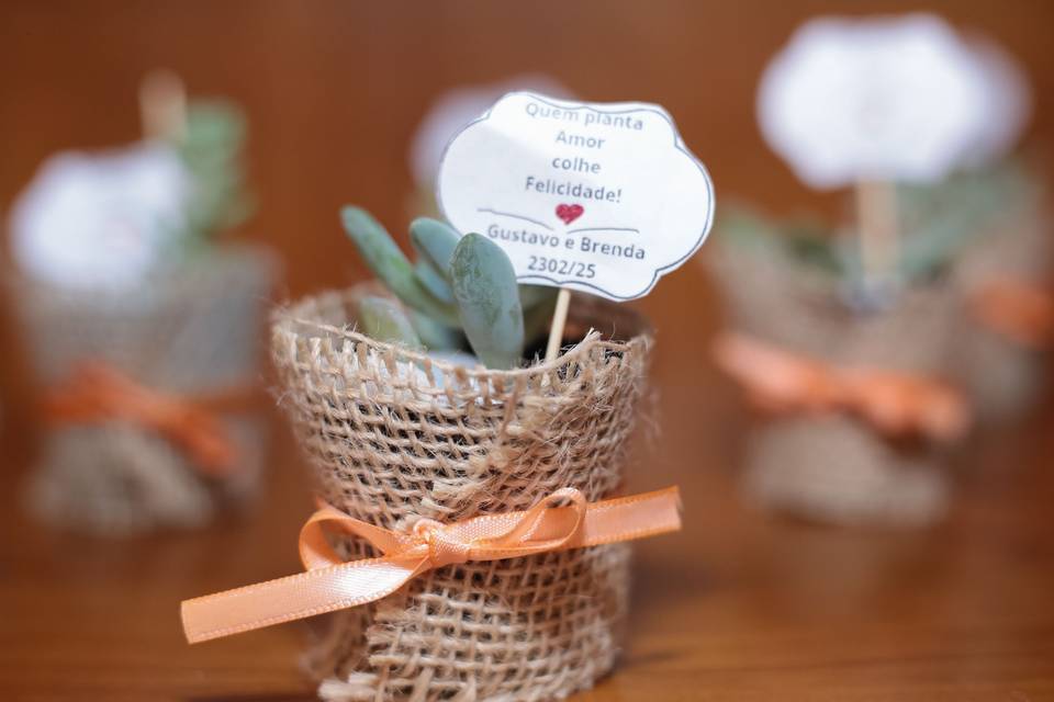 Suculentas personalizadas