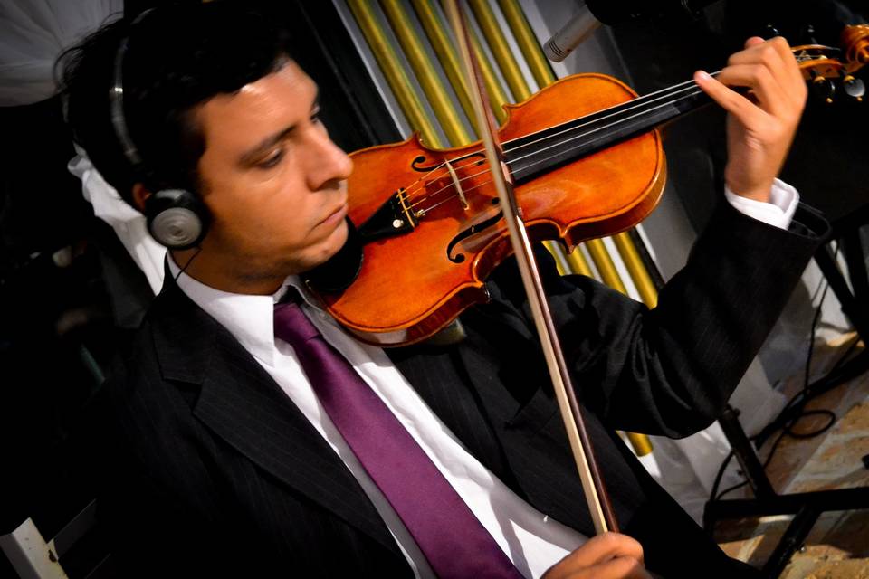 Violino