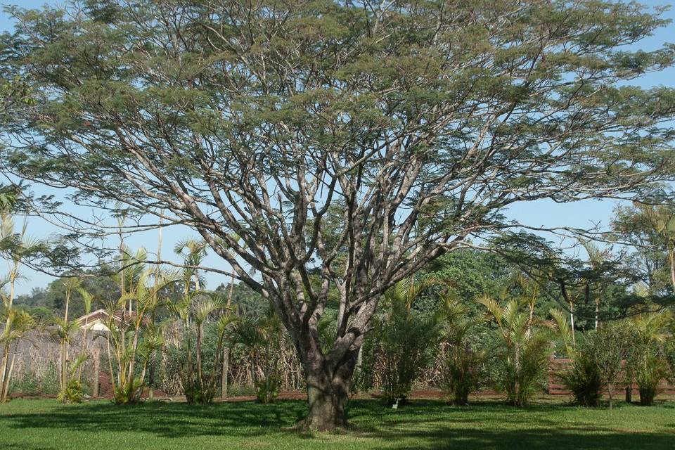 Seyko Espaço Jardim