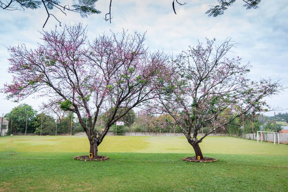 Seyko Espaço Jardim