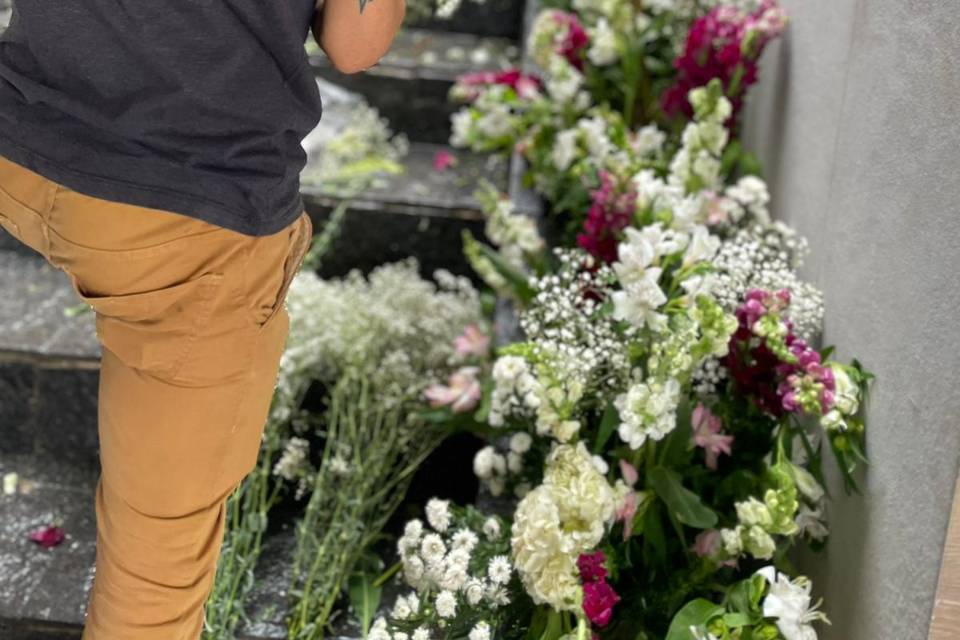 Belasflores