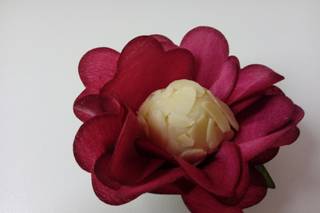 Flores e Encantos