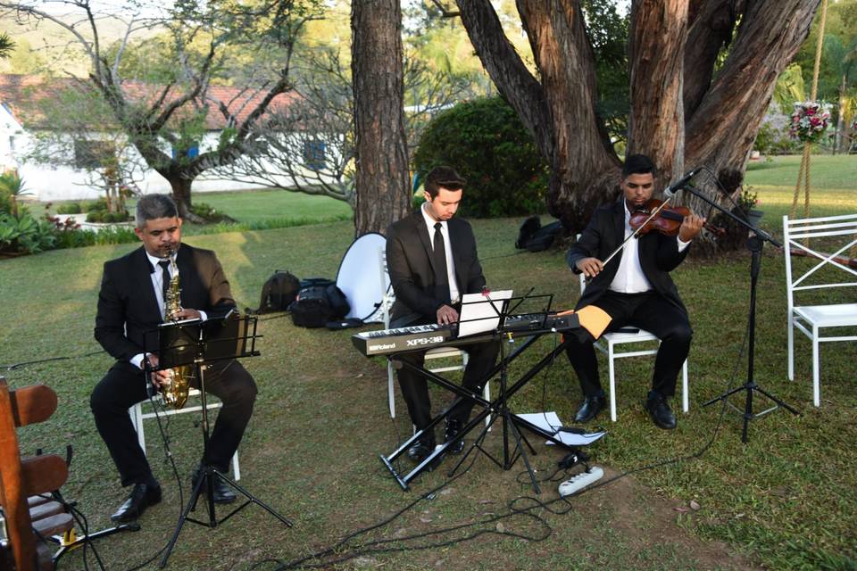 Formação Trio