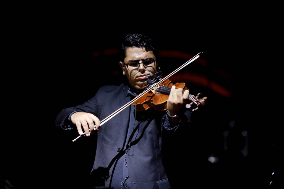 Violino SOLO