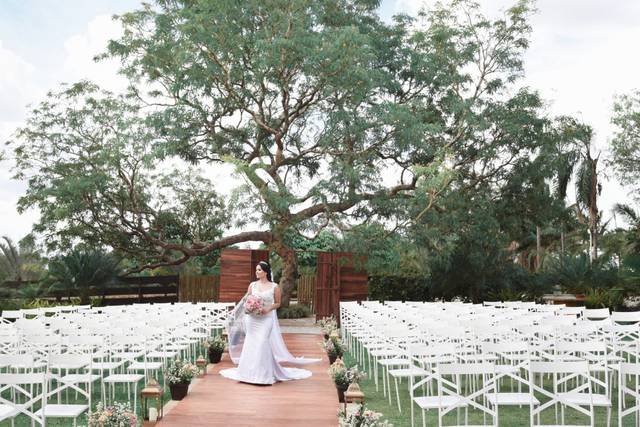 Wedding day