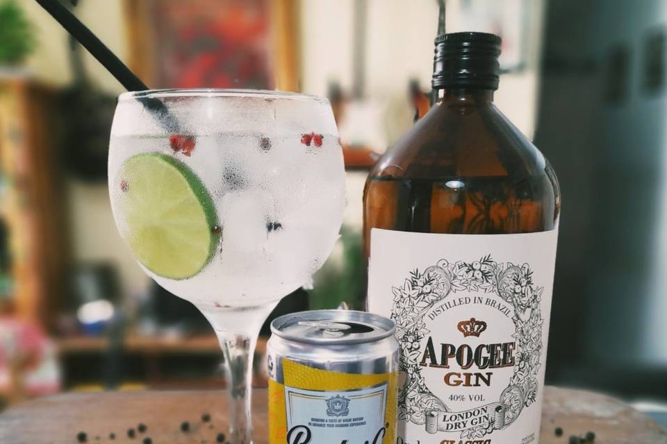 Gin&Tônica