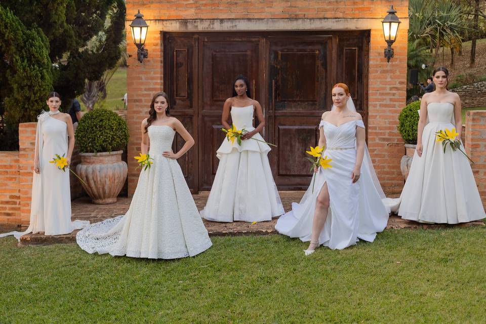 Dayane Zani