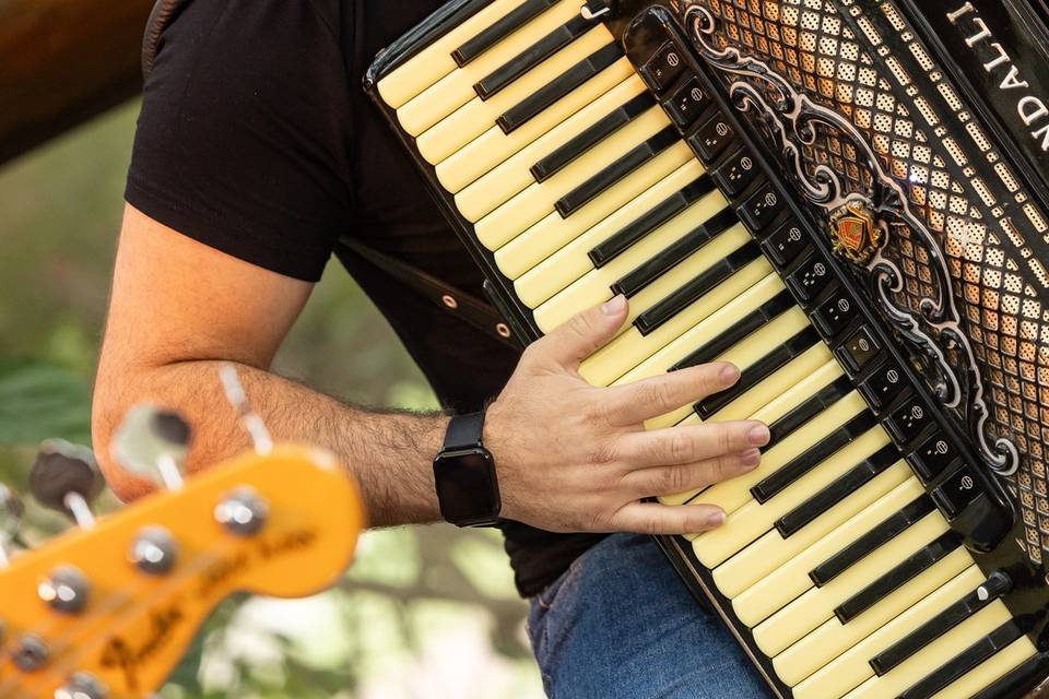 Acordeon Instrumental