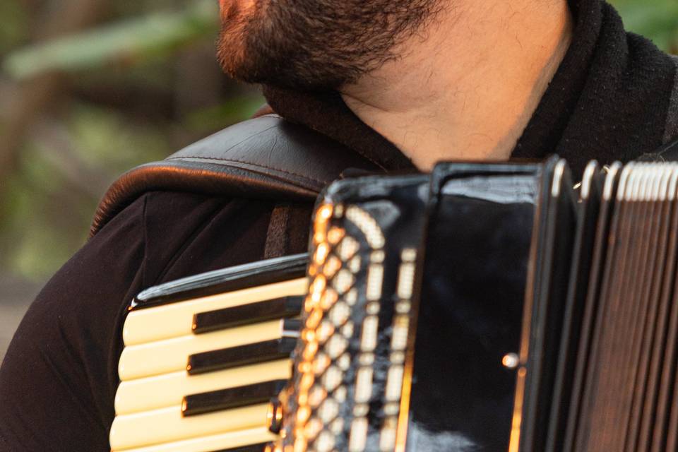 Acordeon instrumental