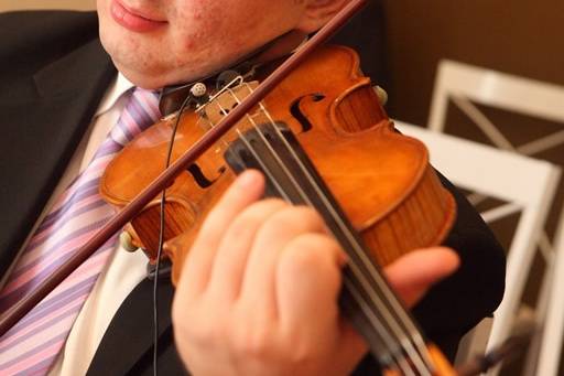 Violino