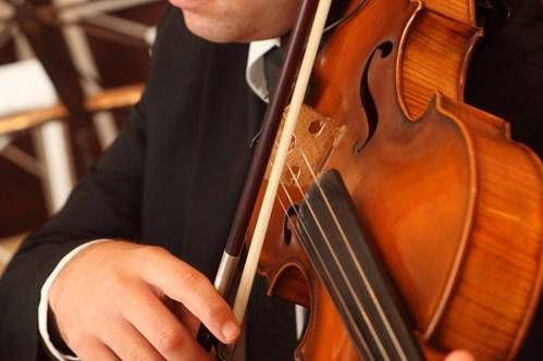 Violino e arco