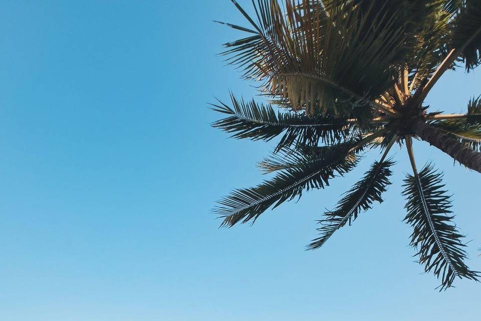 Casa dos Lobos