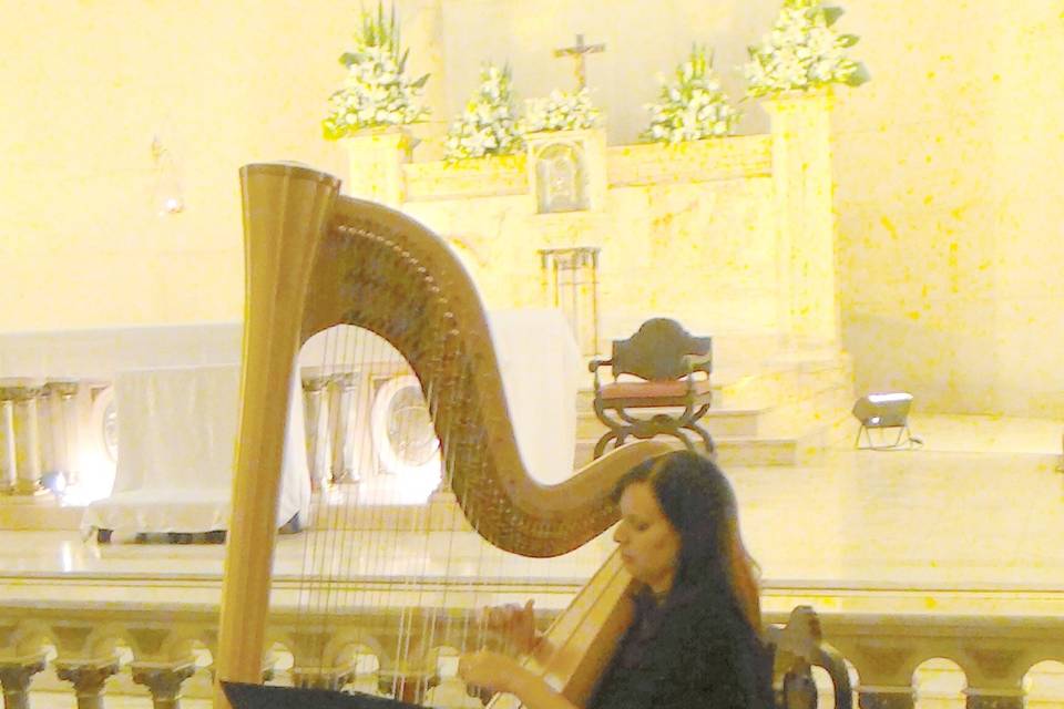 Harpa sinfônica
