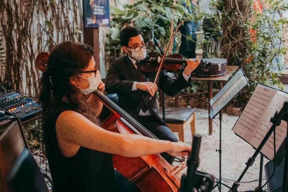 Vinicius Violinista Eventos Musicais