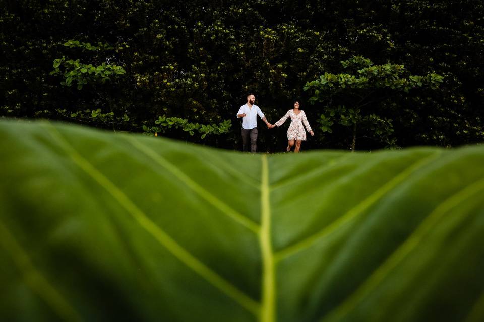 Danilo Almeida - Fotógrafo