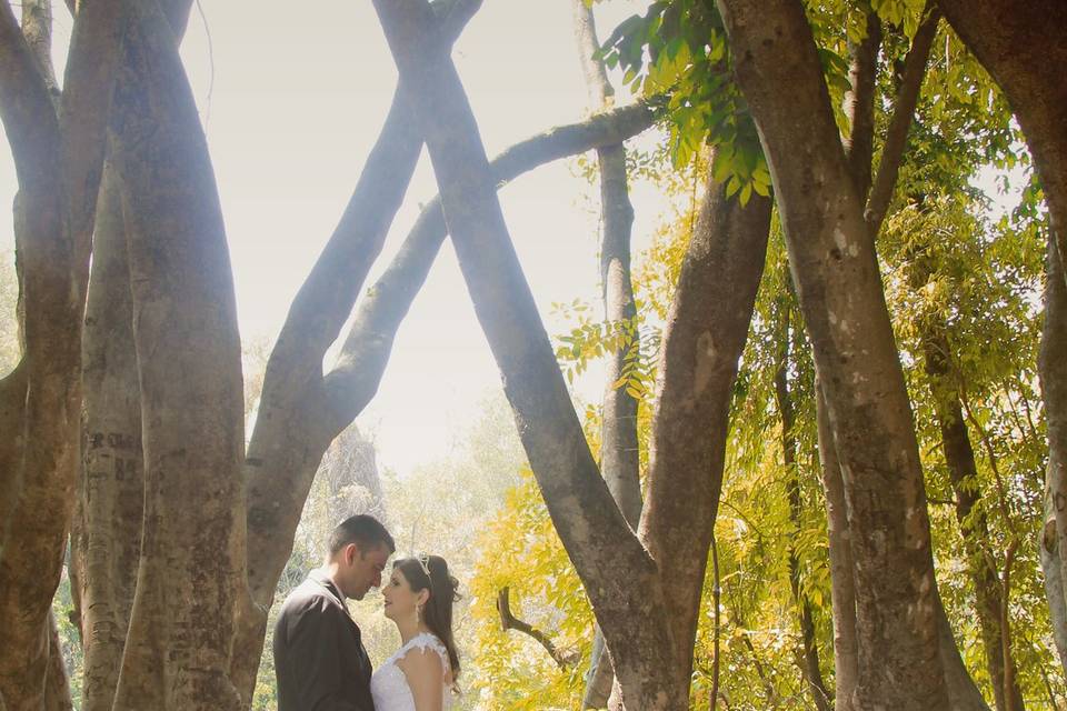 Wedding