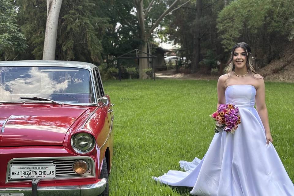 Aero WIllys 1966