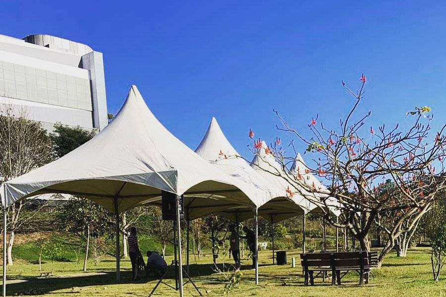 Chapéu de bruxa 5x20