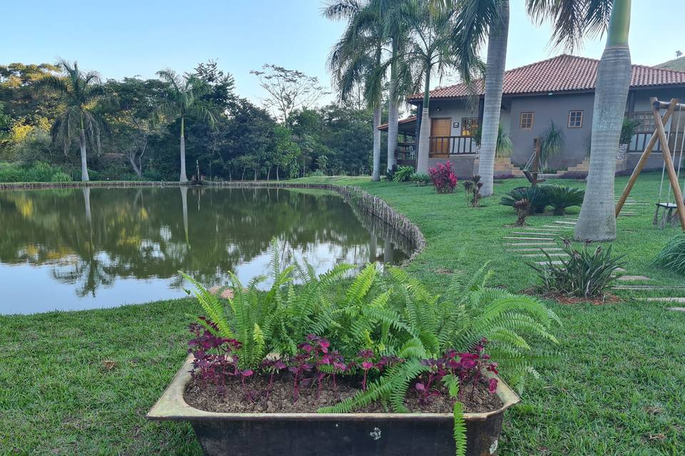 Banheira com plantas