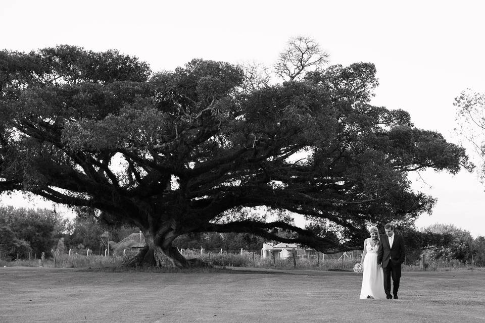 Virgínia Dutra Fotografia