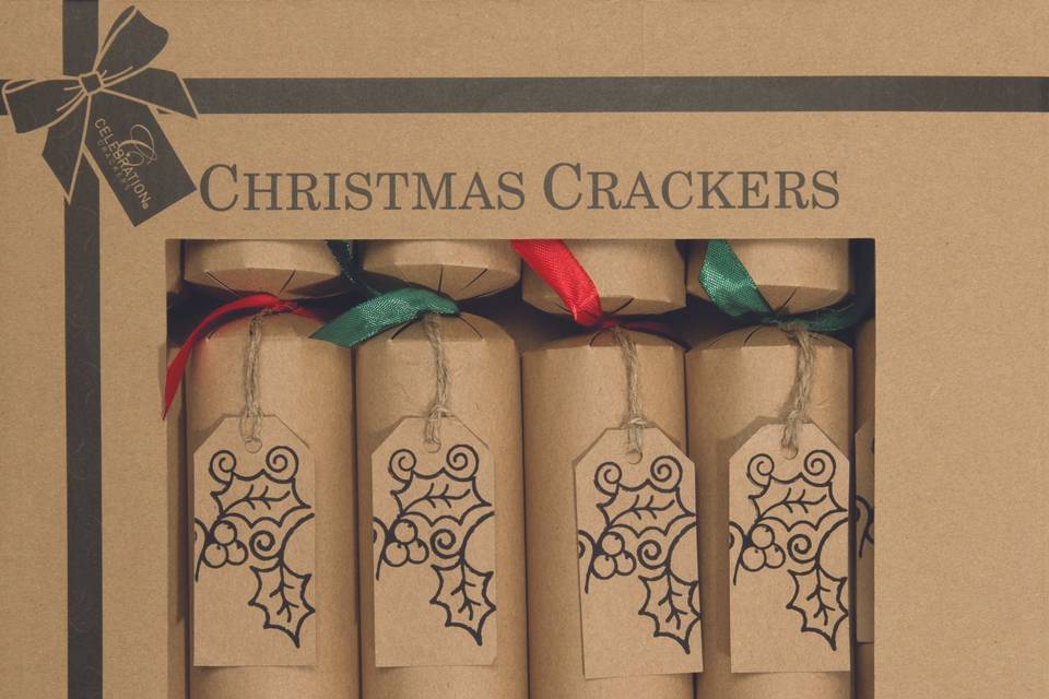 Eco reciclavel Cracker