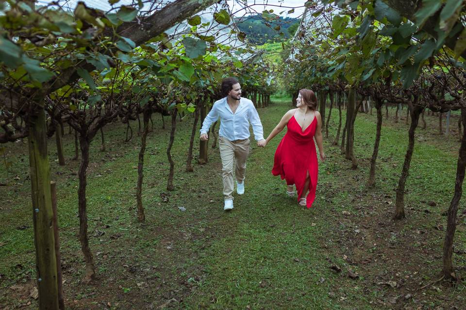 Ensaio de casal em vinicula