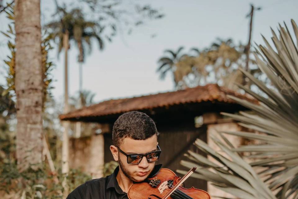 Violinista - Pedro