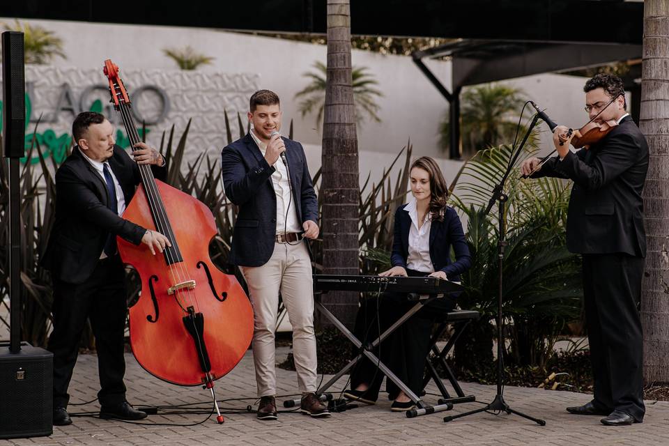 Projeto musical sob medida