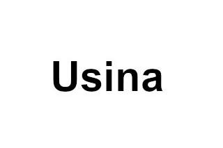 Usina  logo