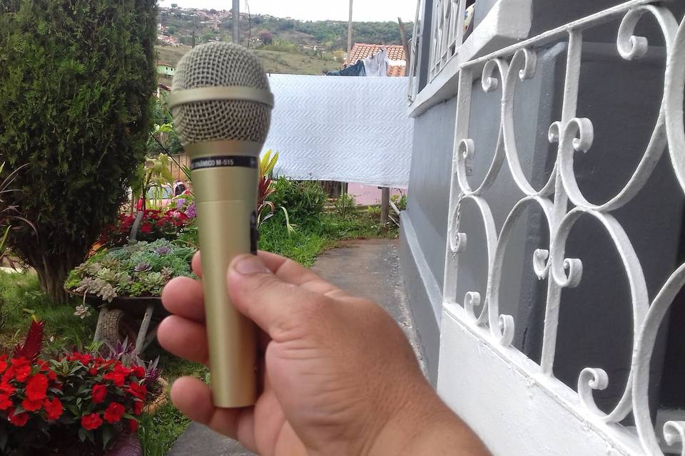 Amo cartar