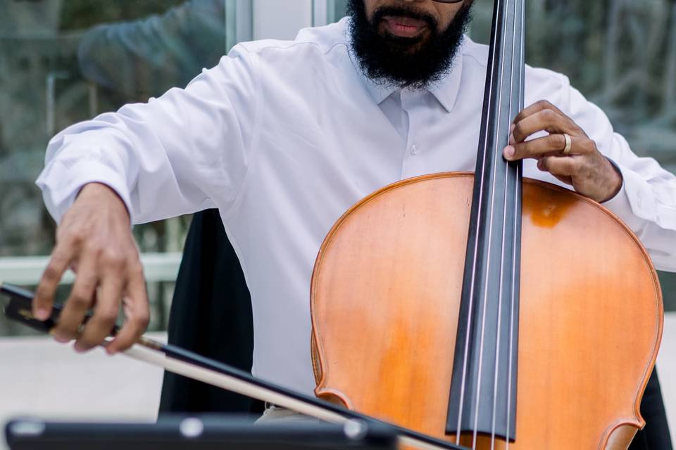 Cellista Carlos