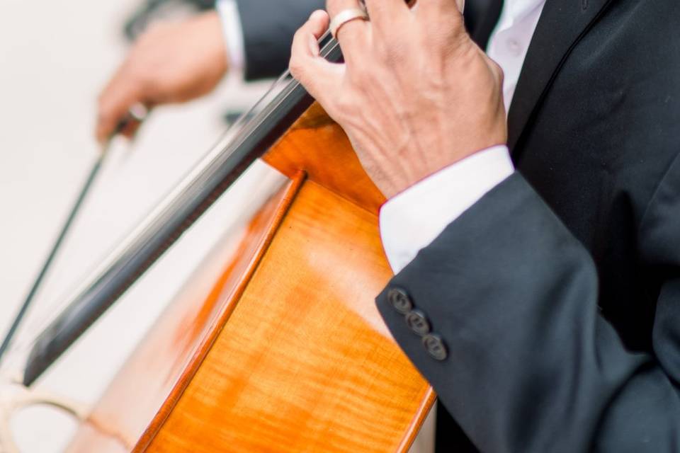 Cello