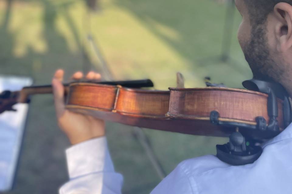 Violinista