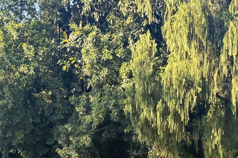 Cerimônia no Jardins do Alto