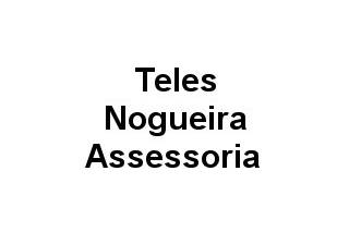 Logo Teles Nogueira Assessoria