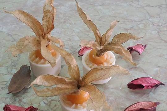 Copinho de Physalis