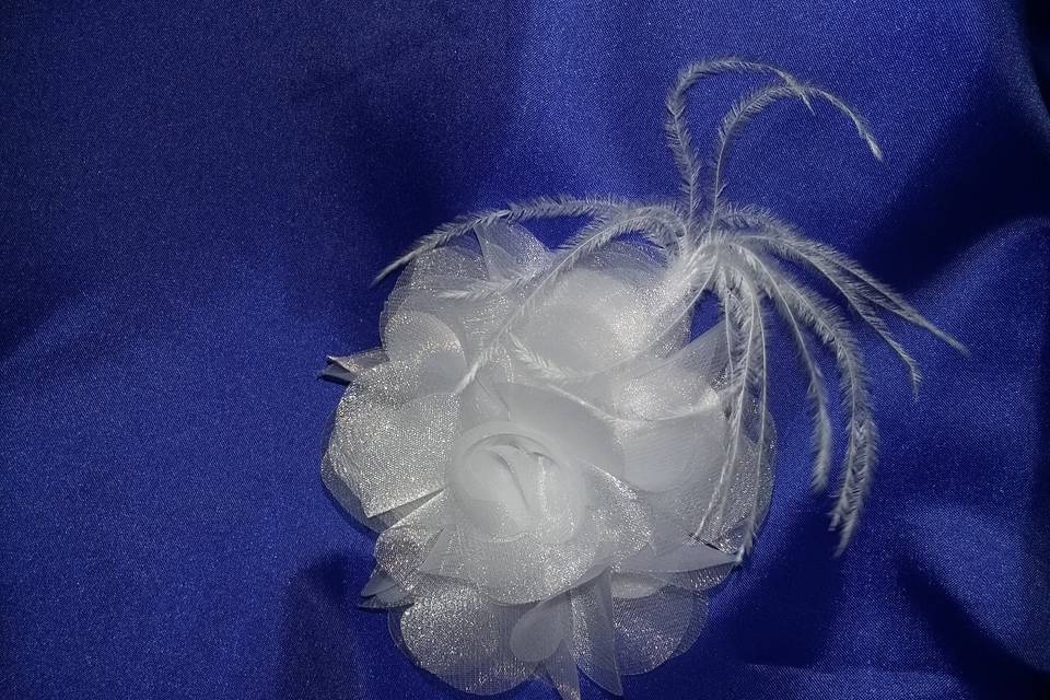 Organza cristal