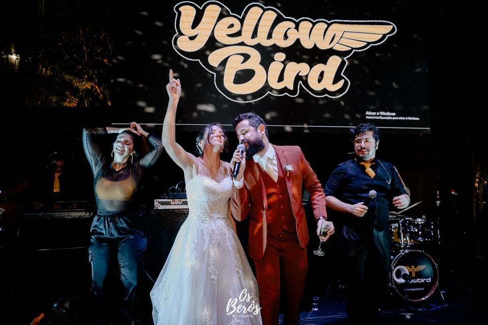 Banda Yellowbird