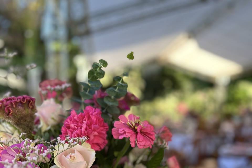 Spring