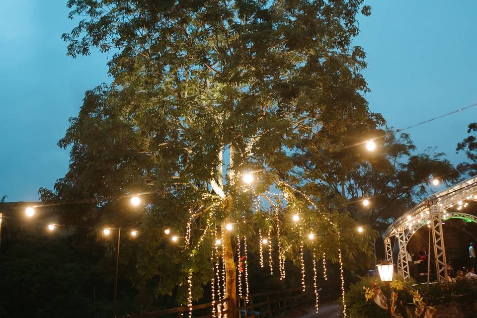 Raio de luz