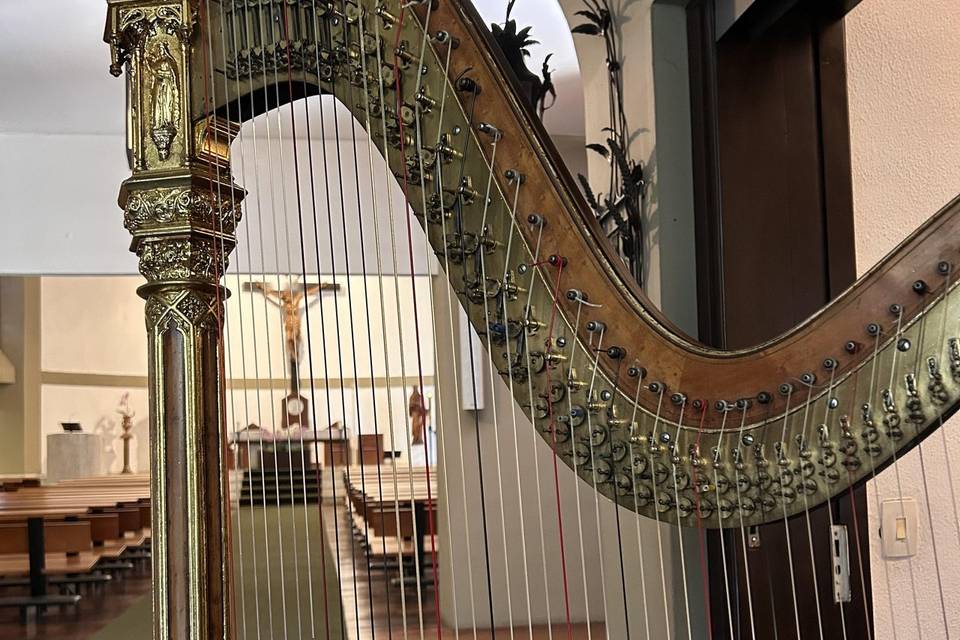 Harpa em Batizado