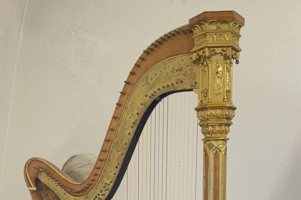 Harpa na Capela - Morumbi
