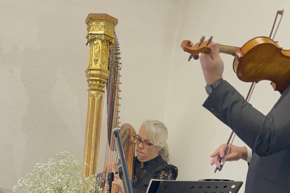 Harpa e Violino - Morumbi